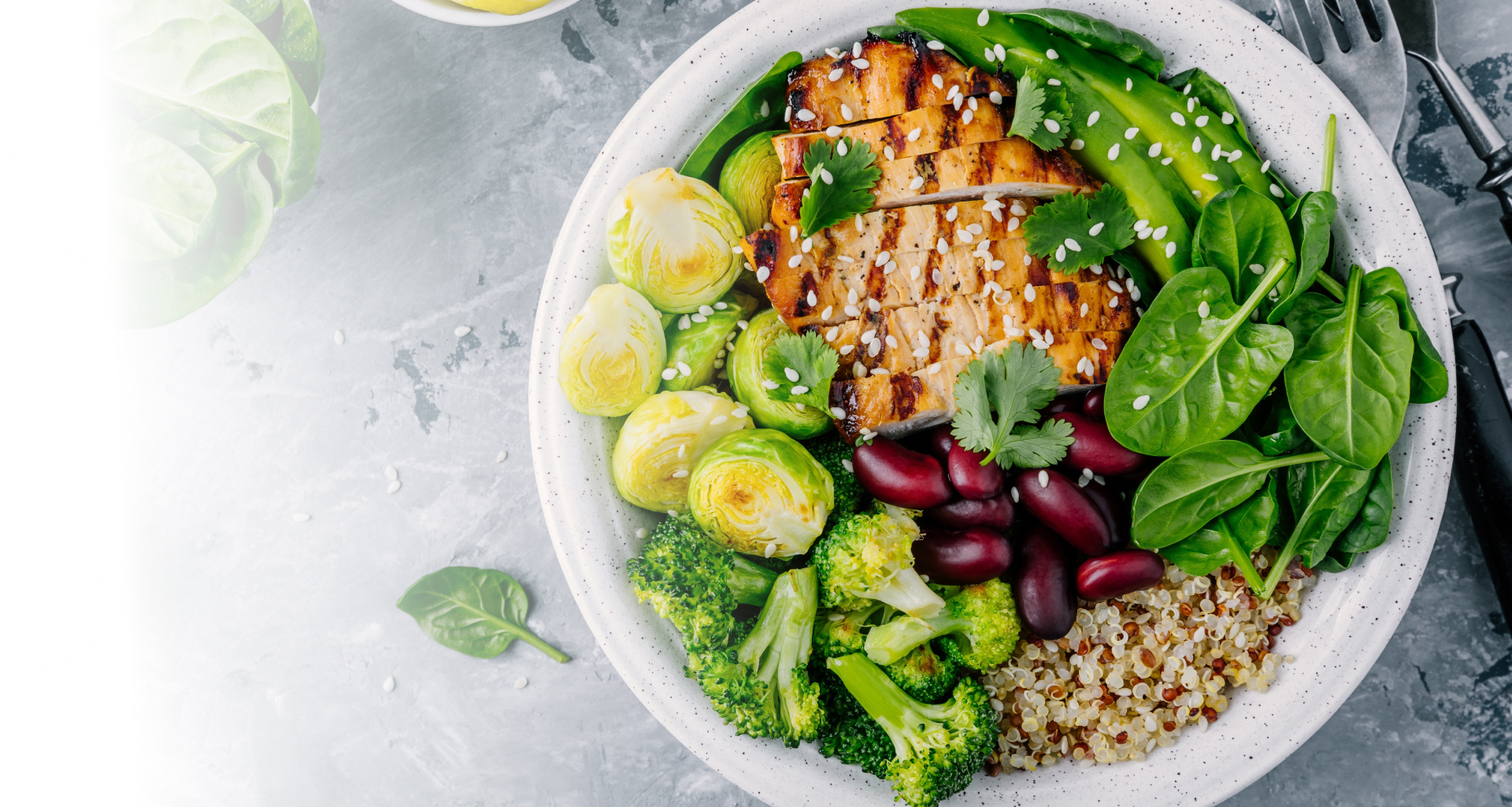 plate with healthy food